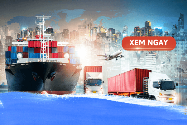 Tìm Hiểu Về Chuyên Ngành Logistics: Cơ Hội Và Tương Lai