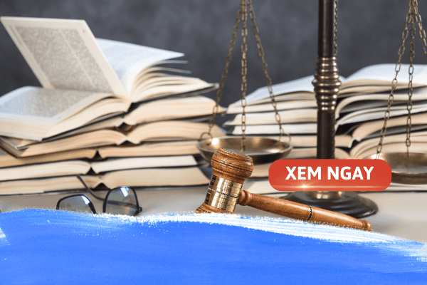 Giới thiệu về ngành Luật: Hiểu đúng để chọn đúng