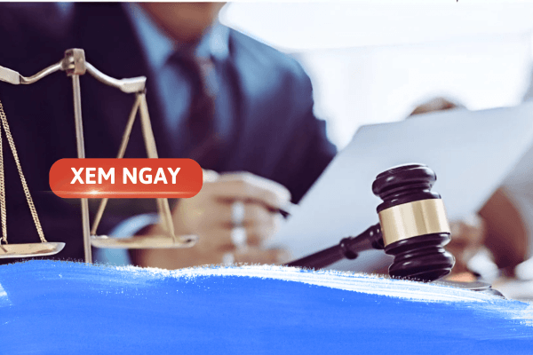 Các trường đại học đào tạo ngành Luật chất lượng ở Việt Nam