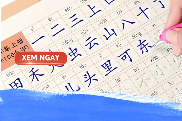 Ngành ngôn ngữ trung học trường nào? Ra trường làm gì?