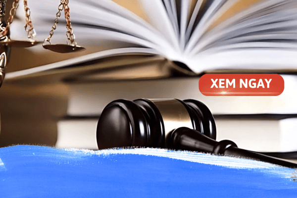 Tìm hiểu về các trường đại học luật chất lượng