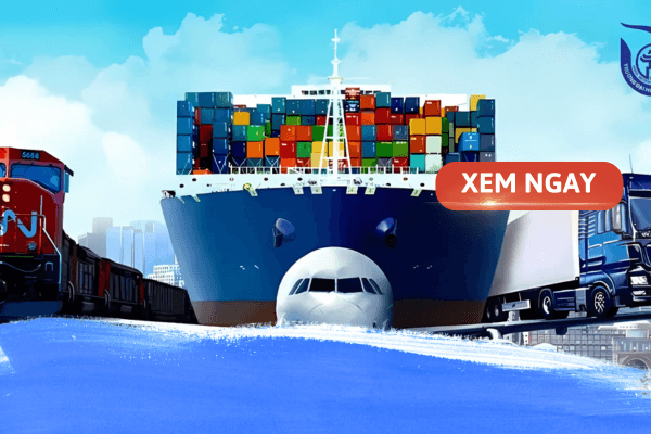 Các trường đào tạo ngành Logistic uy tín, tốt nhất hiện nay