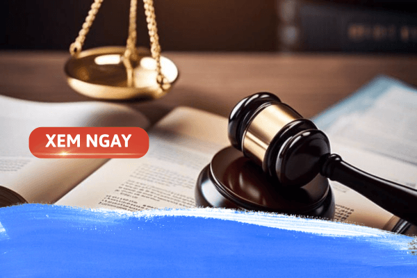 Các trường đào tạo ngành Luật khối C00 – Thông tin chi tiết cho thí sinh