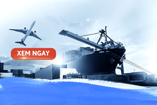 Tương lai ngành học logistics và quản lý chuỗi cung ứng