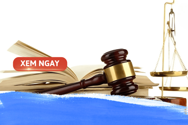 Tổng hợp các trường đào tạo ngành Luật ở miền Nam uy tín nhất