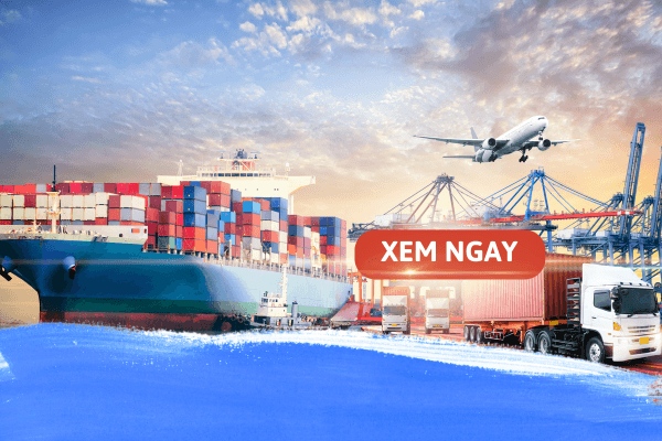Ngành Logistic thi khối nào? Lựa chọn trường đại học phù hợp