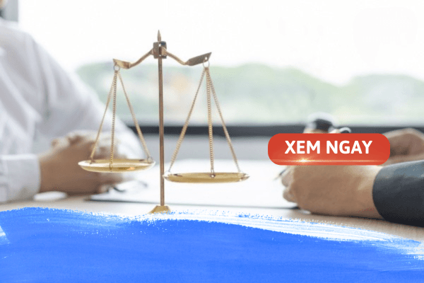 Cập nhật 2025: Những trường đào tạo ngành Luật chất lượng