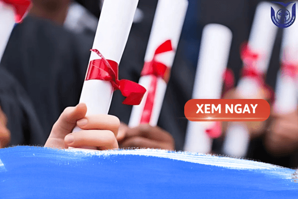 Học văn bằng 2 logistics – Lựa chọn thông minh cho tương lai