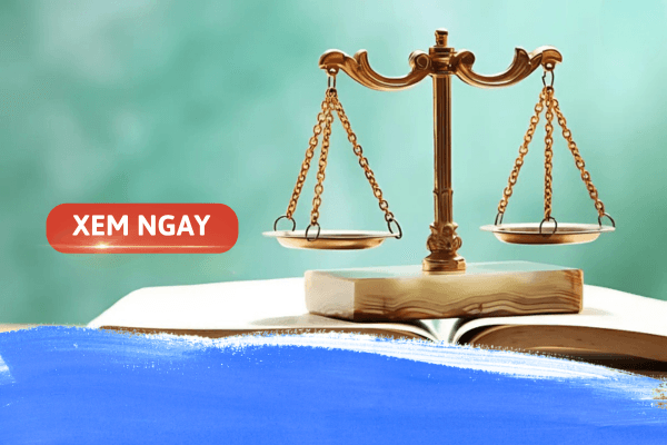 Giải đáp “Học ngành luật có tương lai không?”