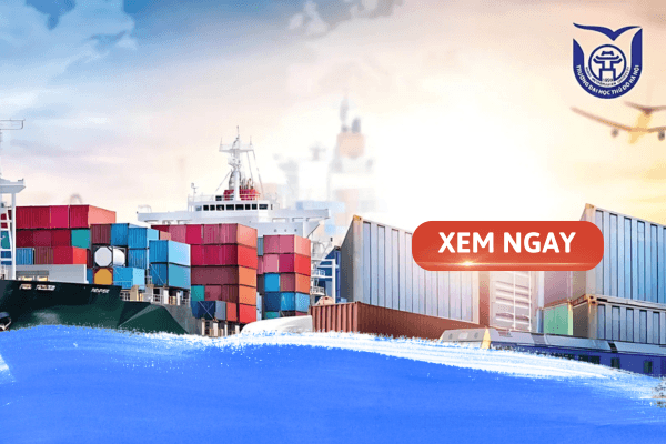 Ngành Logistic và Quản lý chuỗi cung ứng là gì? Xu thế và cơ hội của ngành