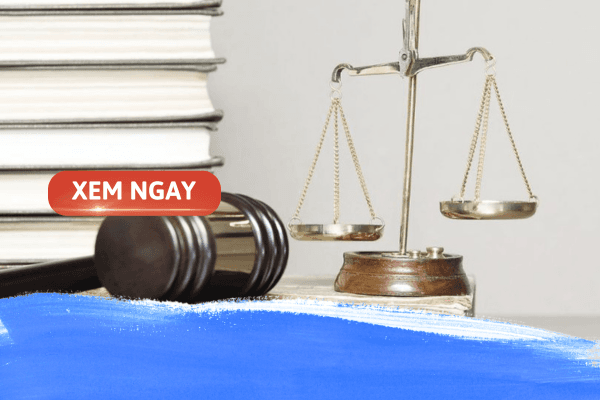 Học văn bằng 2 Luật từ xa có lợi ích gì? Học ở đâu uy tín?