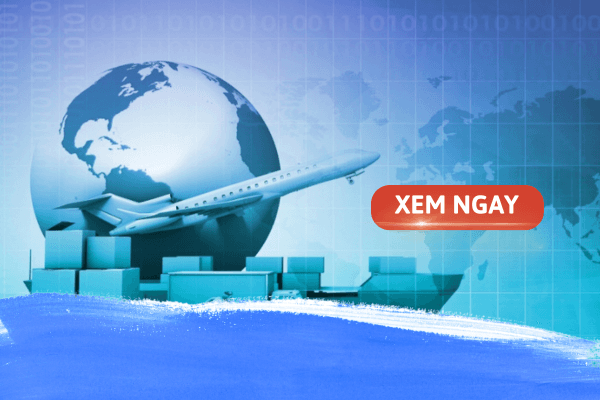 Học chuyên ngành logistics và quản lý chuỗi cung ứng ra trường làm gì?  