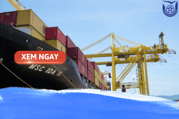 Giải đáp “Logistic thuộc nhóm ngành nào?”