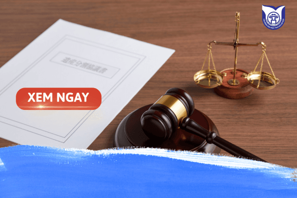 Top 5+ các trường đào tạo ngành Luật uy tín tại Việt Nam