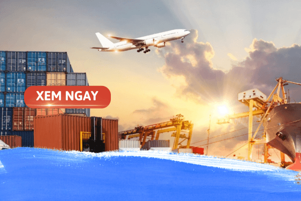 Giải đáp: Logistics và quản lý chuỗi cung ứng học trường nào? 