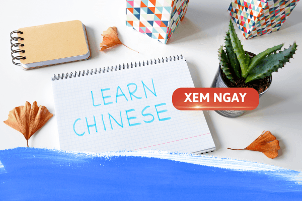 Học ngôn ngữ Trung có dễ xin việc không? Top 5 nghề hot 2025