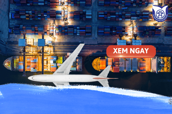 Ngành Logistic nên học trường nào? Gợi ý trường uy tín và chương trình đào tạo chất lượng