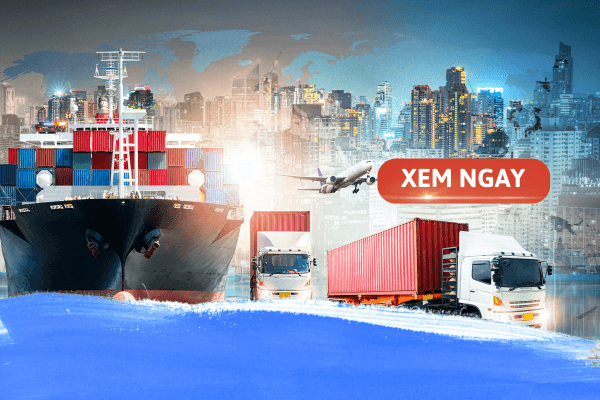 Tìm hiểu “Logistics và quản lý chuỗi cung ứng thi khối nào?”