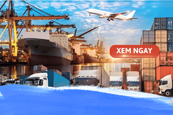 Ngành logistic học khối nào? Học logistics ở đâu?