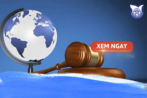 Luật thương mại quốc tế học trường nào? Top các trường uy tín