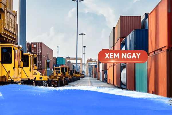 Giải mã thắc mắc: Có nên học logistics và quản lý chuỗi cung ứng không?