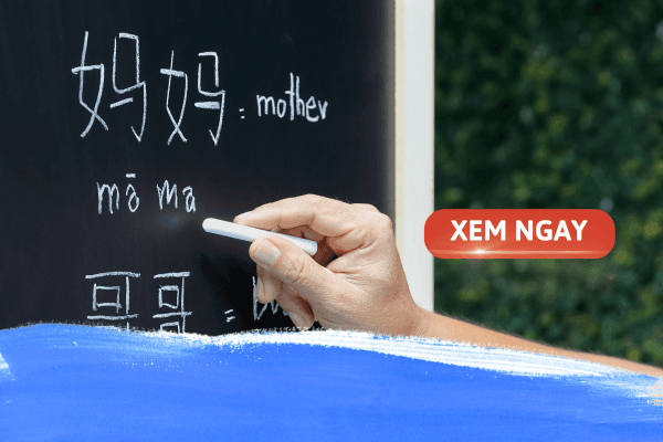 Văn bằng 2 Ngôn ngữ Trung: Có phải là lựa chọn đúng đắn cho tương lai?