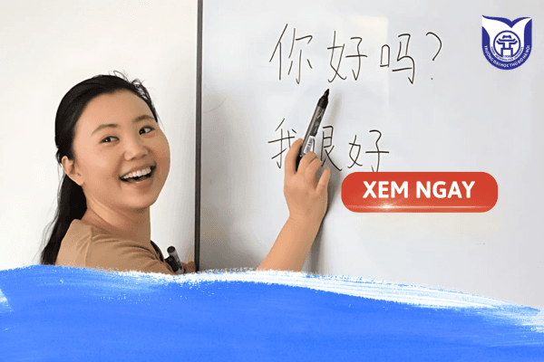 Mã ngành Ngôn ngữ Trung: Lựa chọn đúng để thành công