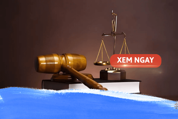 Tìm hiểu về ngành luật sư: Tổng hợp thông tin từ A-Z