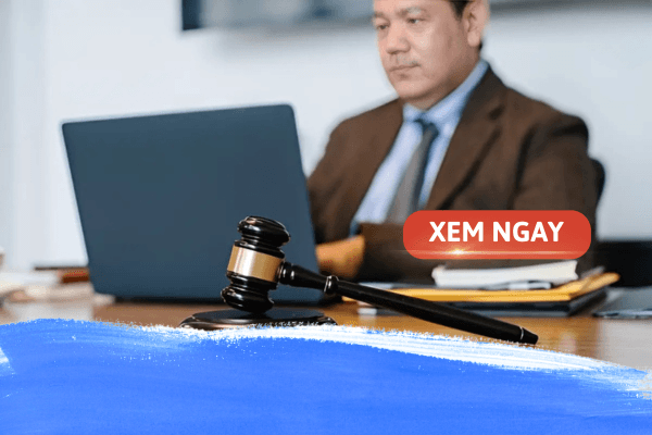 Chương trình đào tạo ngành luật hiện nay ra sao?