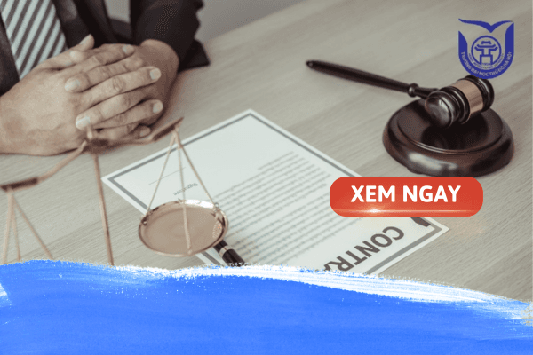 Có những ngành Luật nào? Top 7 chuyên ngành Luật phổ biến